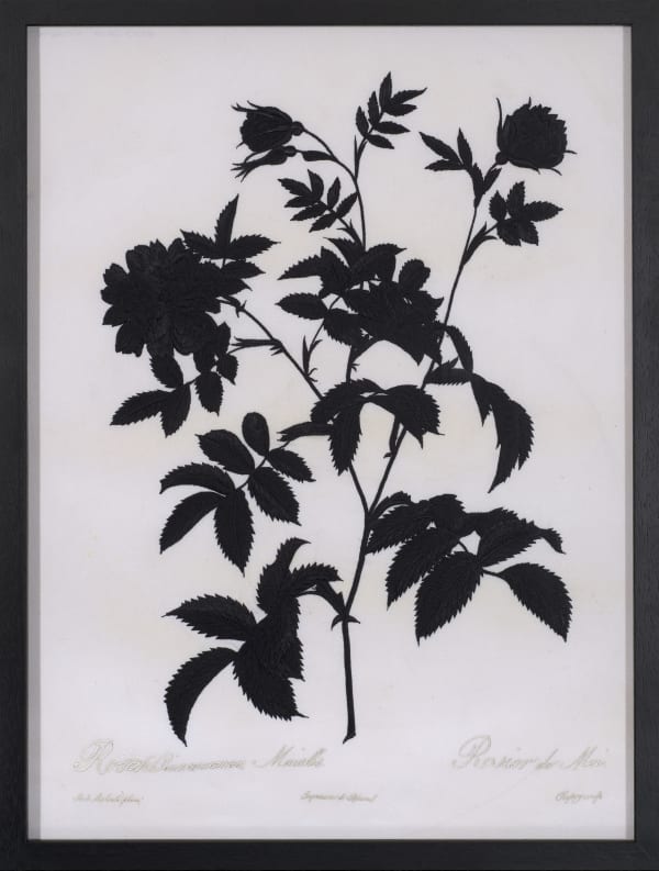 David Alesworth b. 1957Dark Rosa Cnnamonea, 2021 Archival textile print on satin cotton with cotton embroidery 53.3 x 40.6 cm 21 x 16 in