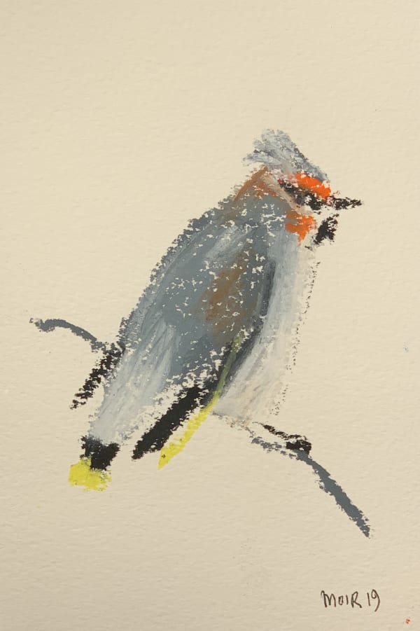 Jim Moir, Bird, 2019