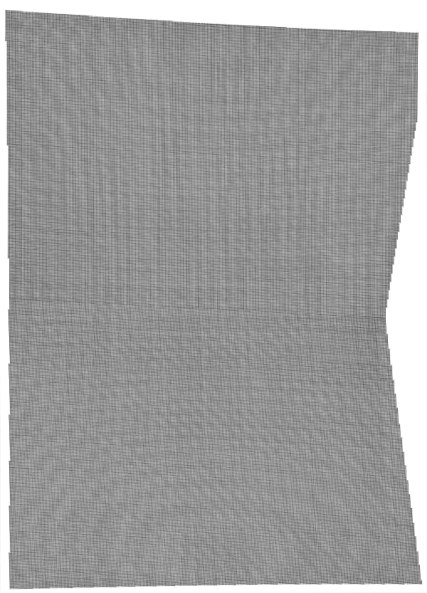 Mohammad Ali Talpur b. 1976Leeka - 12, 2023 Signed and dated Marker pen on paper, 71.1 x 50.8 cm 28 x 20 in