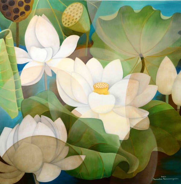 Senaka Senanayake, White Lotus, 2014