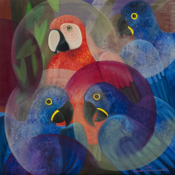 Senaka Senanayake b. 1951Macaws, 2018 Oil on canvas Signed and dated 60.9 x 60.9 cm 24 x 24 in