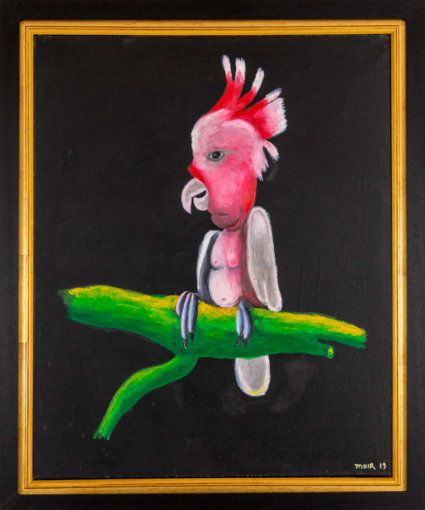 Jim Moir, Toucan, 2019