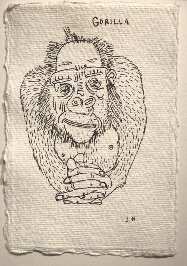 Jim Moir Gorilla 2, 2018 Ink on paper 15.5 x 11 cm