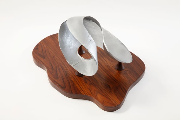 Sankho Chaudhuri Untitled Fiber 24.1 x 30.5 x 36.8 cm 9 1/2 x 12 x 14 1/2 in