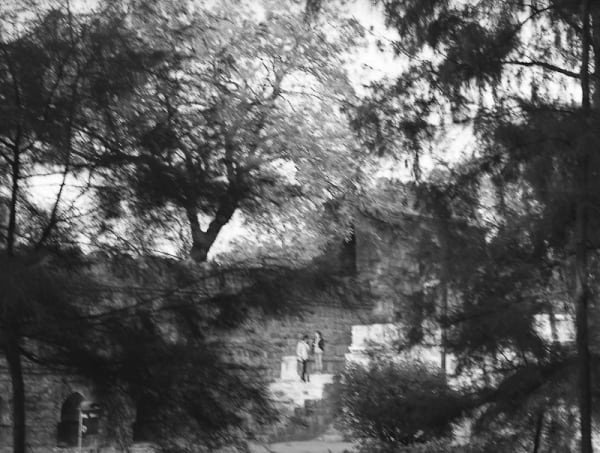 Prarthana Modi Lovers, New Delhi, 2012 Silver Gelatin print with Selenium toning, hand printed on fiber based archival paper, from an edition of 5 50.8 x 60.9 cm 20 x 24 in