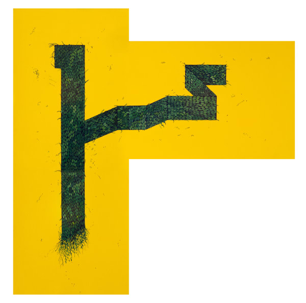 Wardha Shabbir, I Follow My Own Path, 2020