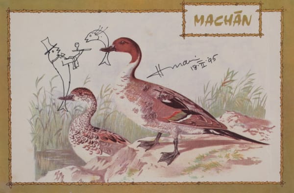 Maqbool Fida Husain 1915-2011Untitled (Fish and Ducks), 1995 Pen and ink on printed image 27.9 x 41.9 cm 11 x 16 1/2 in