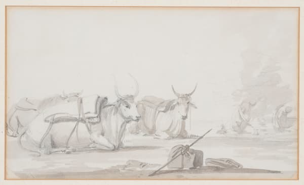 William Daniell R.A. 1769-1837Bullocks, Circa 1780-90 Pencil and wash on paper Inscribed 'Bullocks' in boarder 14.6 x 25.3 cm 5 3/4 x 10 in