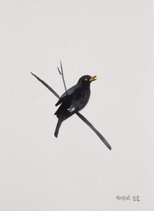 Jim Moir b. 1959Blackbird 19, 2022 Signed and dated 'Moir 22' Watercolour on paper Unframed 15 x 10.4 cm 5 7/8 x 4 1/8 in