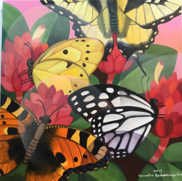 Senaka Senanayake, Butterflies, 2015
