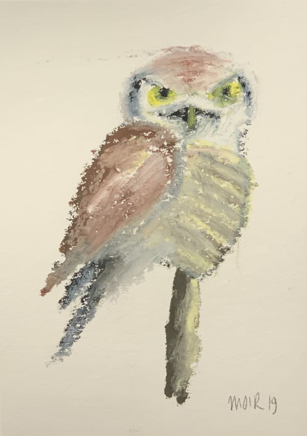 Jim Moir, Bird (Owl 4), 2019