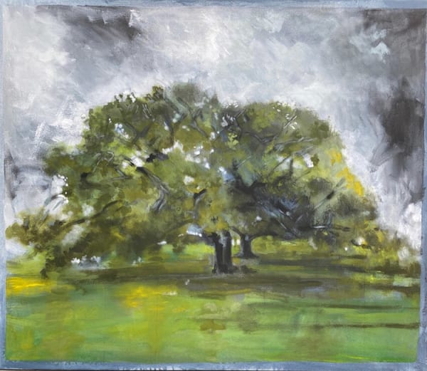 Eddie Ralph Hebert, Moody Oaks, 2024