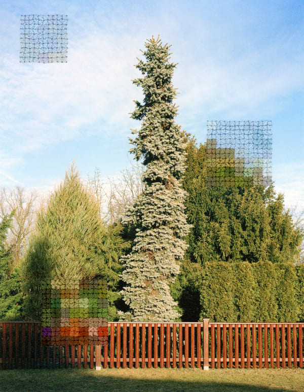 Diane Meyer, Fence and Hedges Near Former Wall Area, Rudow, 2019