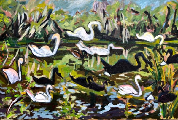 Christina Juran, Swan Movement, City Park Lagoon, 2024