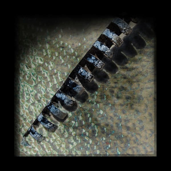 Mozart DeDeaux, Binder Ring - Indiscriminate Beauty of Riff Raff, 2017