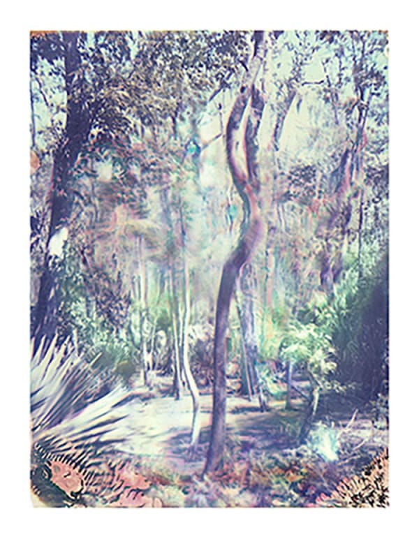 Wanda Boudreaux, Louisiana Wetlands #17, 1999