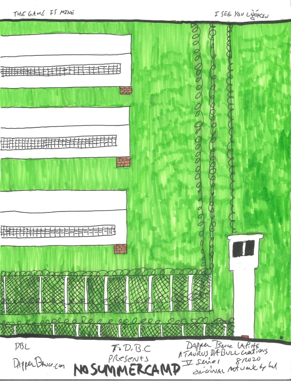 Dapper Bruce Lafitte, No Summercamp, 2020