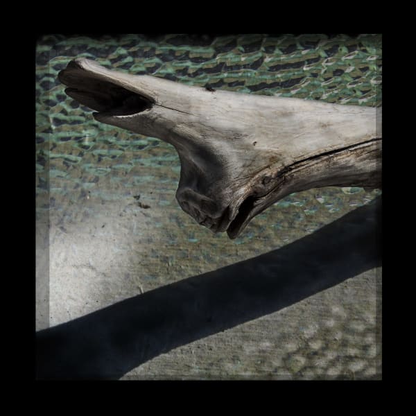 Mozart DeDeaux, Log Shadow - Indiscriminate Beauty of Riff Raff, 2017