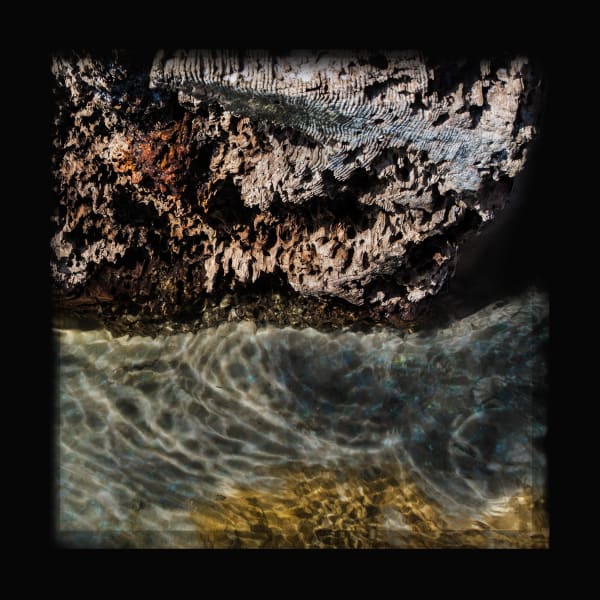 Mozart DeDeaux, Log and Water - Indiscriminate Beauty of Riff Raff, 2017