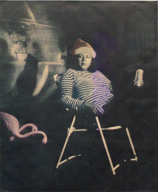 Meg Turner, Vanessa / Flamingo, 2019