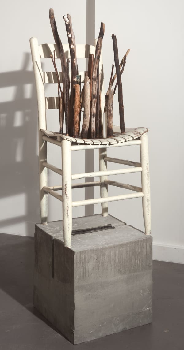 Babette Beaullieu, Mississippi Refuge , 2020