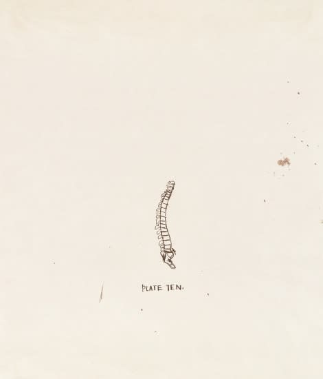 Jean-Michel Basquiat Untitled 1 (from Leonardo), 1983