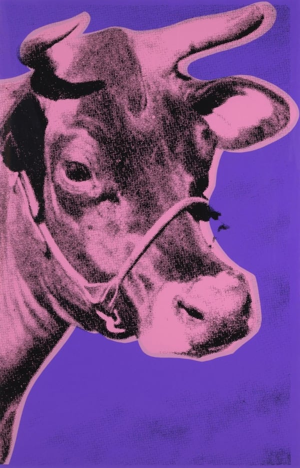 Cow Wallpaper F.S. II 12 A