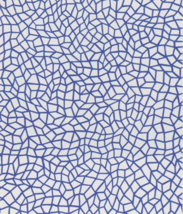 Infinity Nets (26)