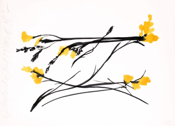 Three Freesias yellow