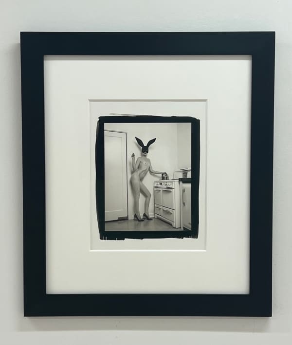 Bunny in the Kitchen