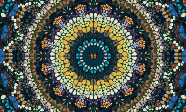 H18-3 Psychedelic