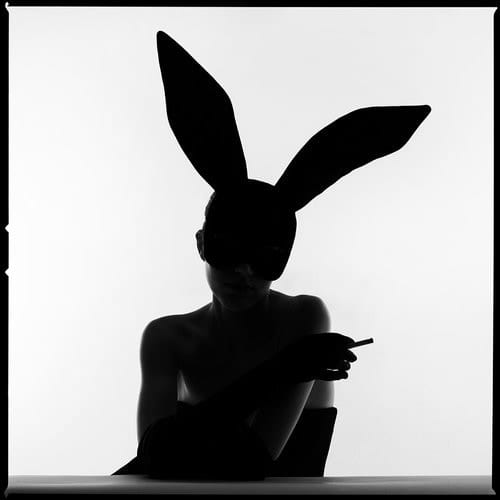 Bunny Silhouette Smoke