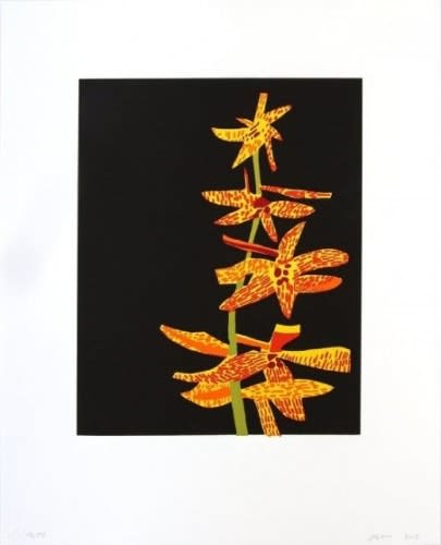 Untitled (Orchid II)