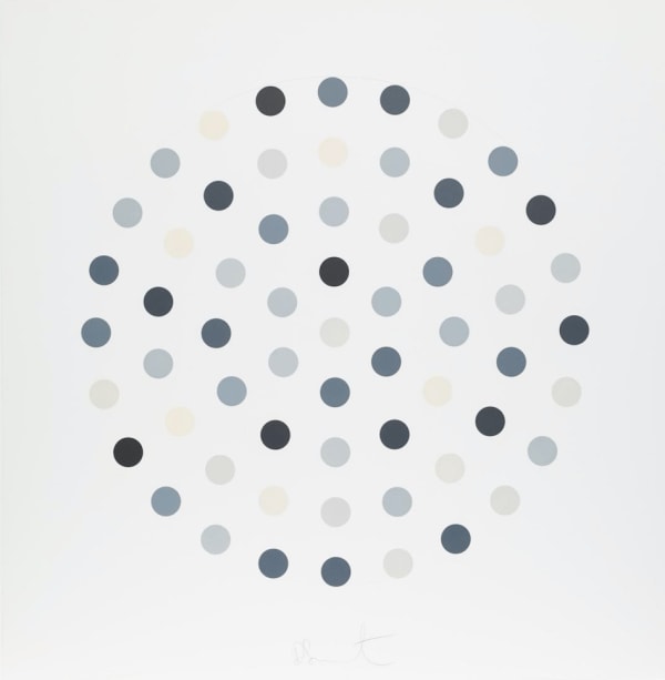 Damien Hirst Cinchonidine, 2004