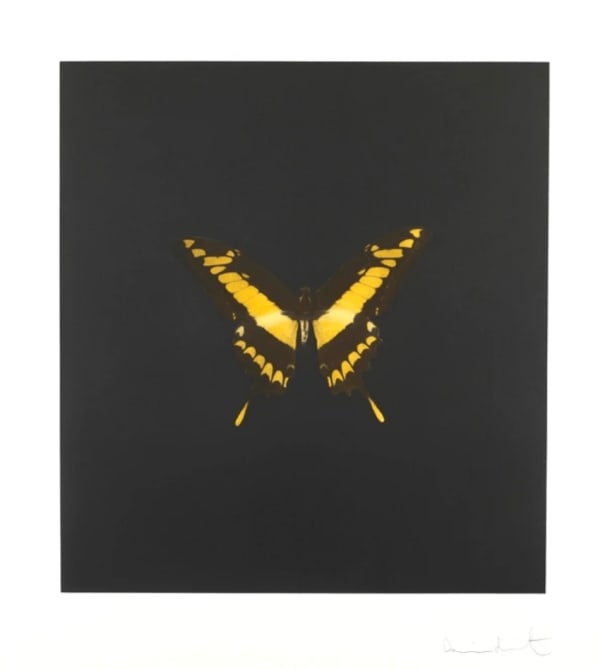 The Souls on Jacob's Ladder Take Their Flight (Small Yellow / Black Butterfly)