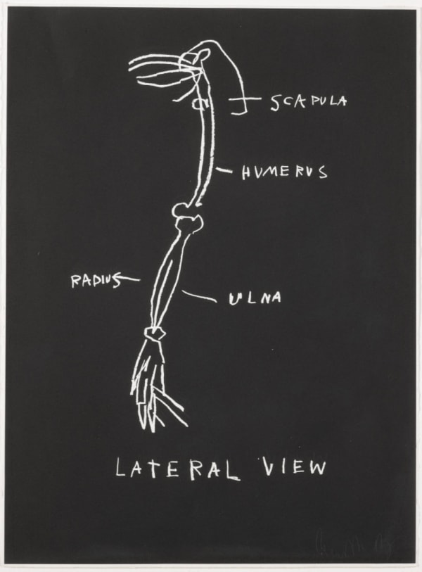 Jean-Michel Basquiat Lateral View, from Anatomy, 1982