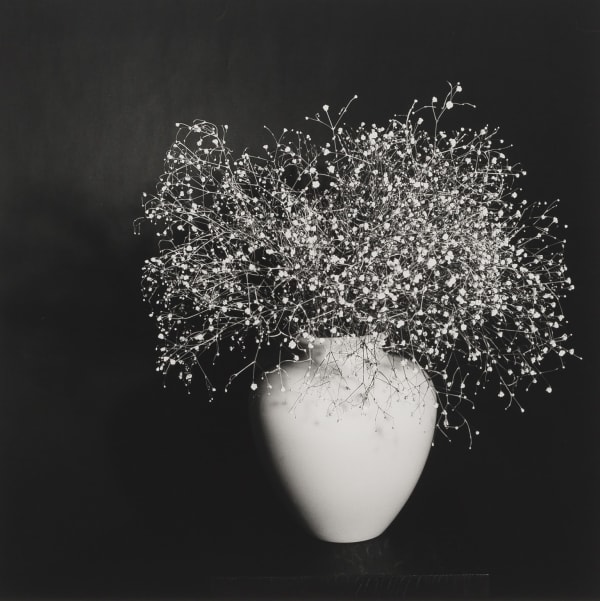 Baby's Breath