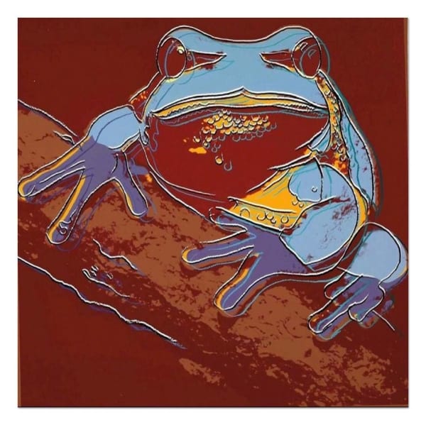 Pine Barrens Tree Frog F.S. II 294