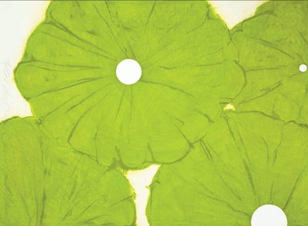 Four Green Poppies April 24