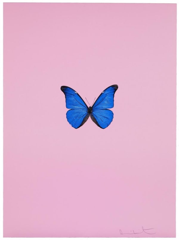 New Beginnings (pink)