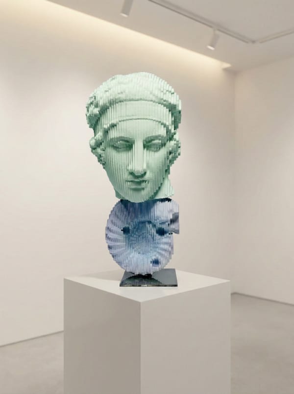 Daniele Fortuna Anemone