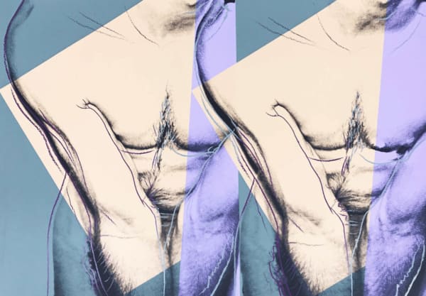 Torso (Double) F.S. IIIA 35