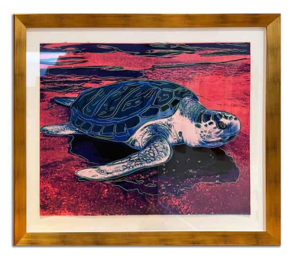 Turtle F.S. II 360A