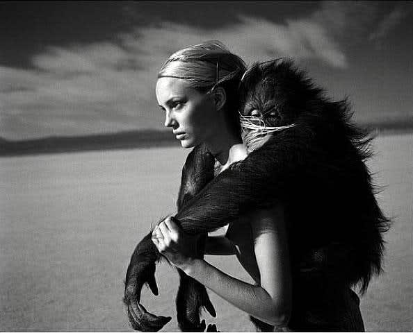 Michel Comte Beauty and the Beast - Orangutan , 1996