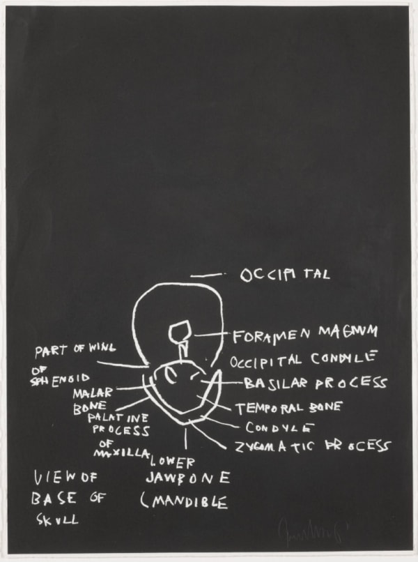 Jean-Michel Basquiat View of Base of Skull, from Anatomy, 1982