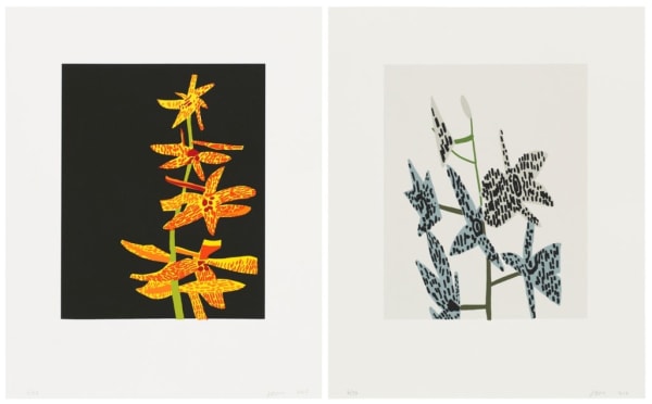 Untitled (Orchid Diptych)