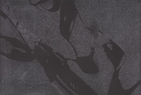 Diamond Dust Shoes F.S. II 250 (Deluxe Edition)