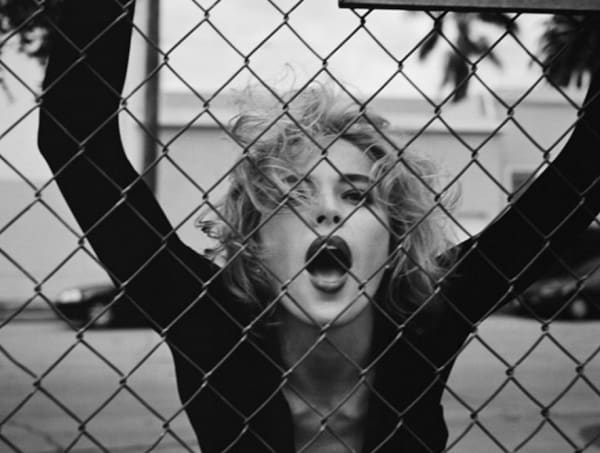 Sharon Stone Wire Fence