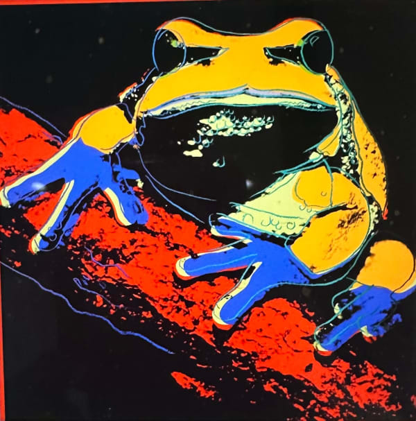 Pine Barrens Tree Frog F.S. II 294
