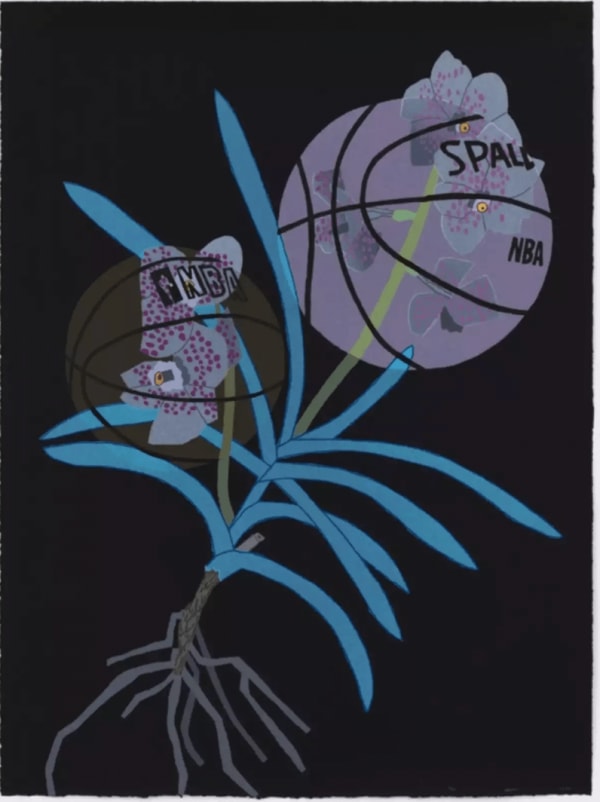 Double Basketball Orchid 2 (state III)